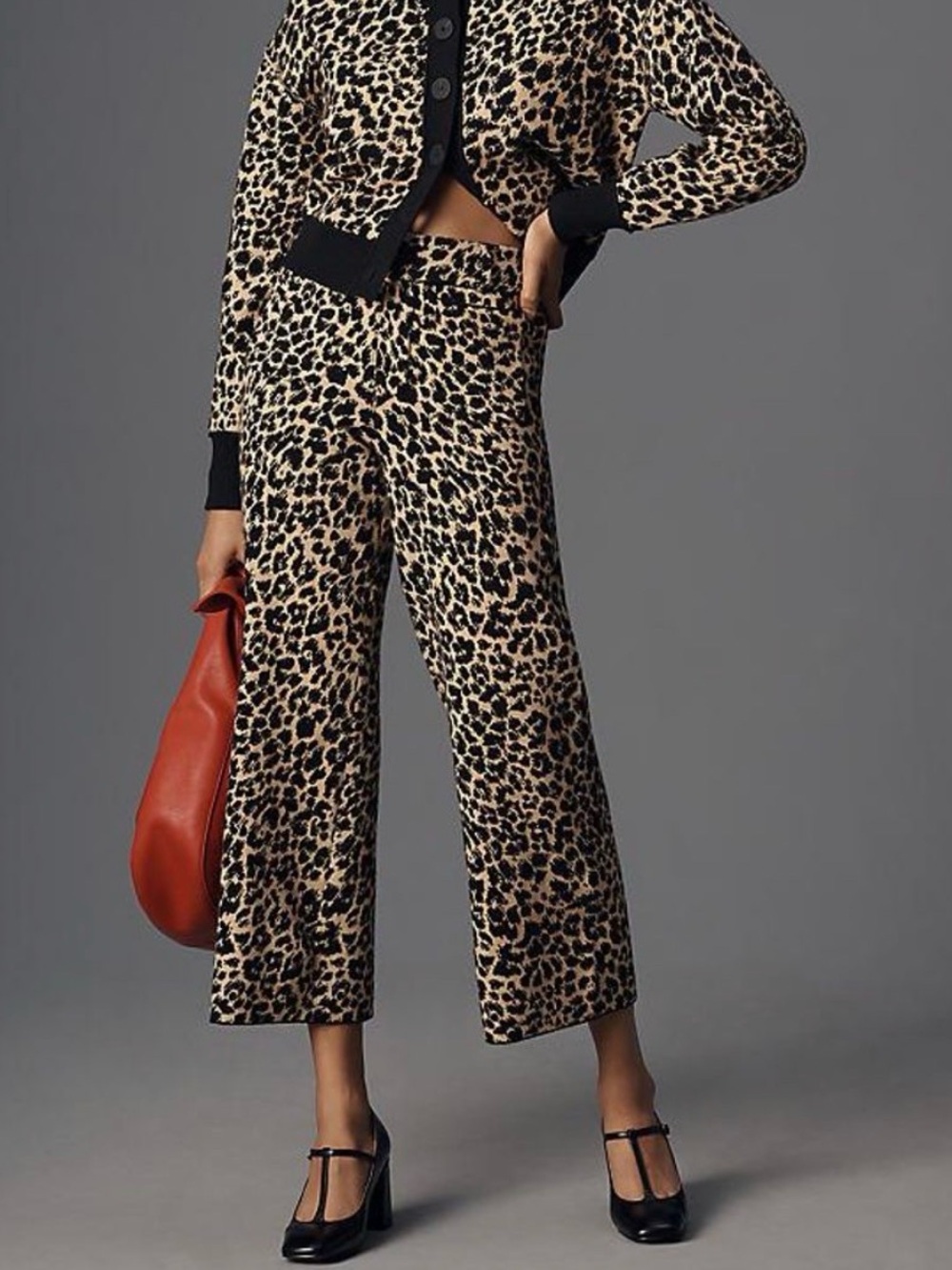 Anthropologie Maeve The Colette Knit Crop Wide-Leg Trousers size small leopard